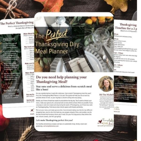 Thanksgiving day meal planner