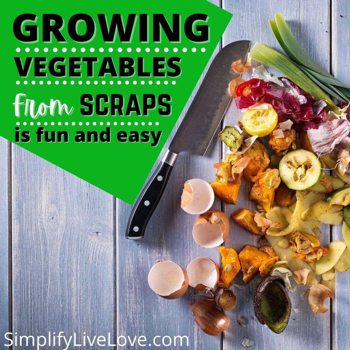 Growing vegetables from food scrap