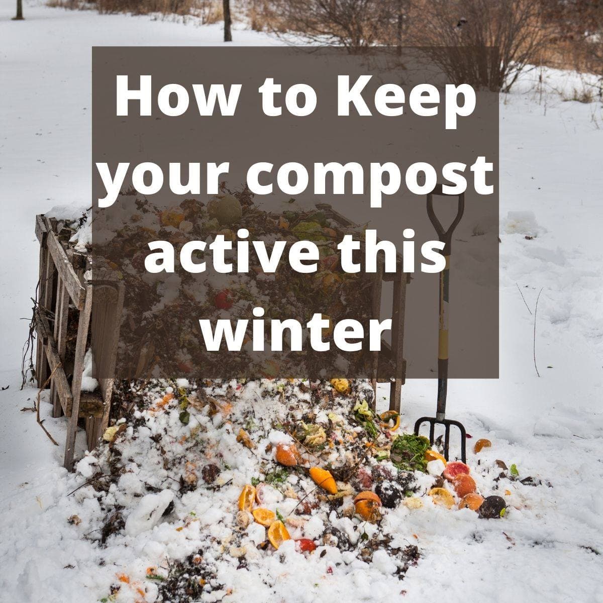 How to Keep Your Compost Active in Winter Simplify, Live, Love