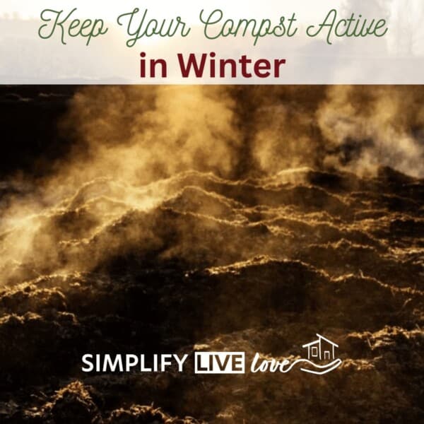 How to Keep Your Compost Active in Winter