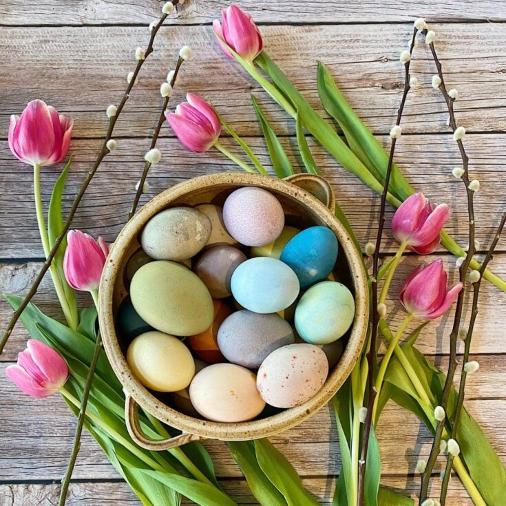 naturally dyed easter eggs featured (1)