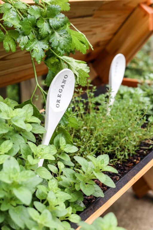 20 Cute & Easy DIY Garden Plant Markers To Make - Simplify, Live, Love