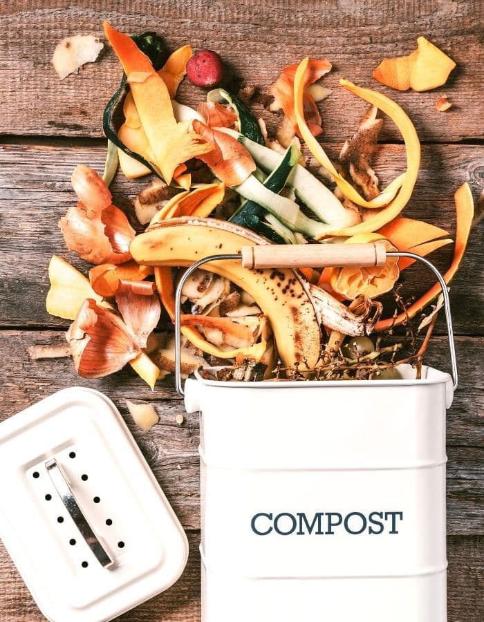 compost bucket and table scraps