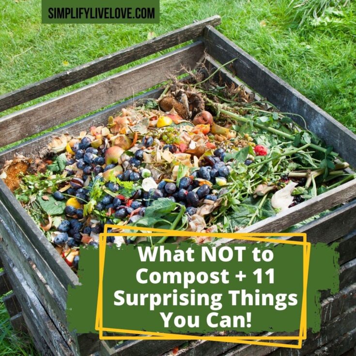 What NOT to Compost + 11 Surprising Things You Can! - Simplify, Live, Love