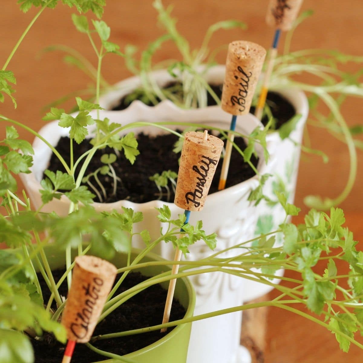 DIY Plant Markers for your Herb Garden