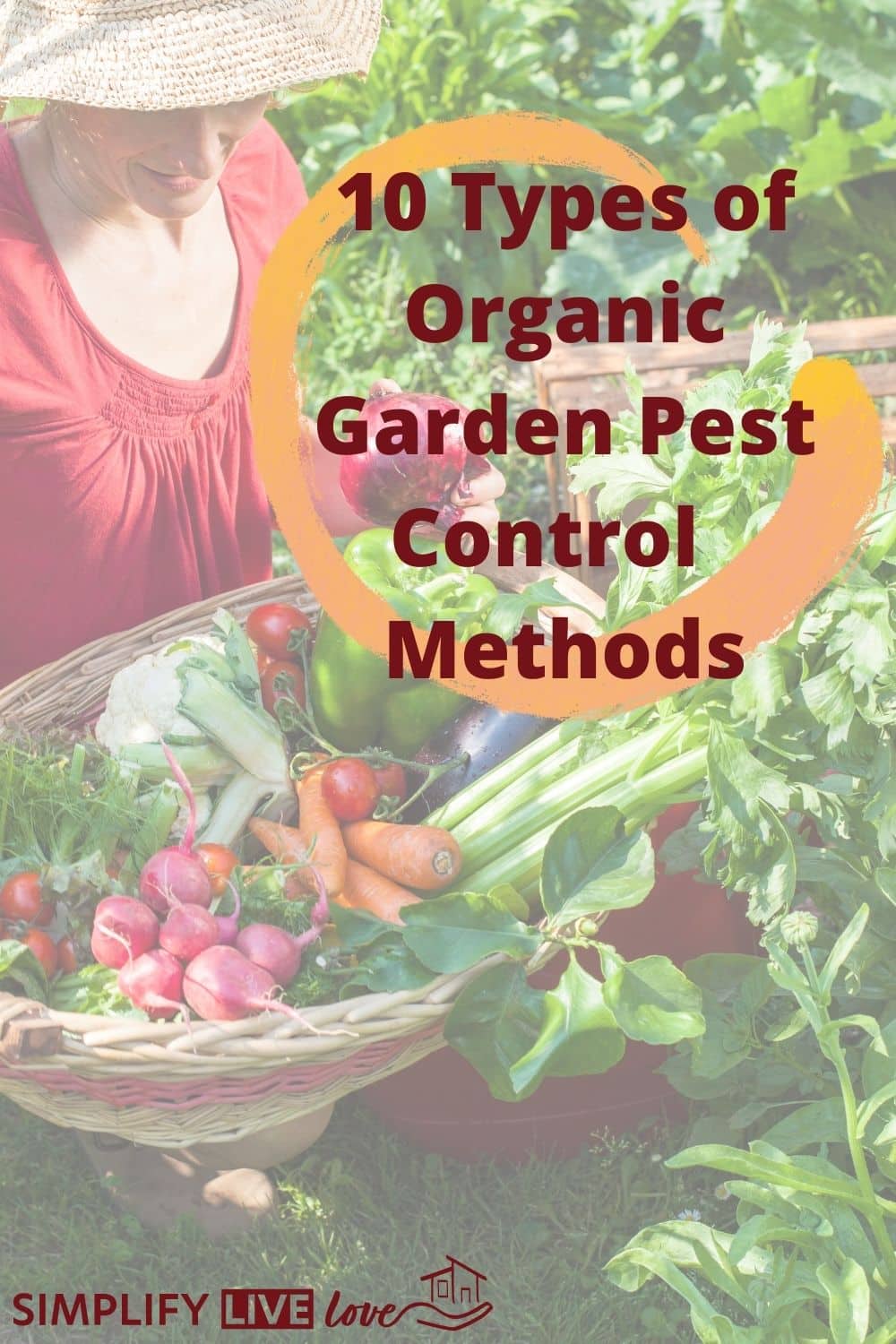 10 Most Effective Types Of Organic Garden Pest Control Methods Simplify Live Love