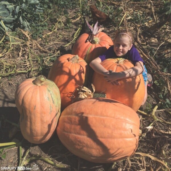 garden activities with kids - growing pumpkins