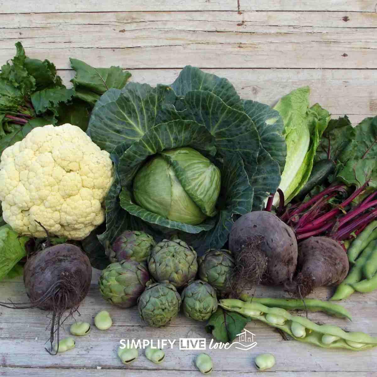 A winter harvest of cauliflower, cabbage, beets, and greens for in season winter eating.