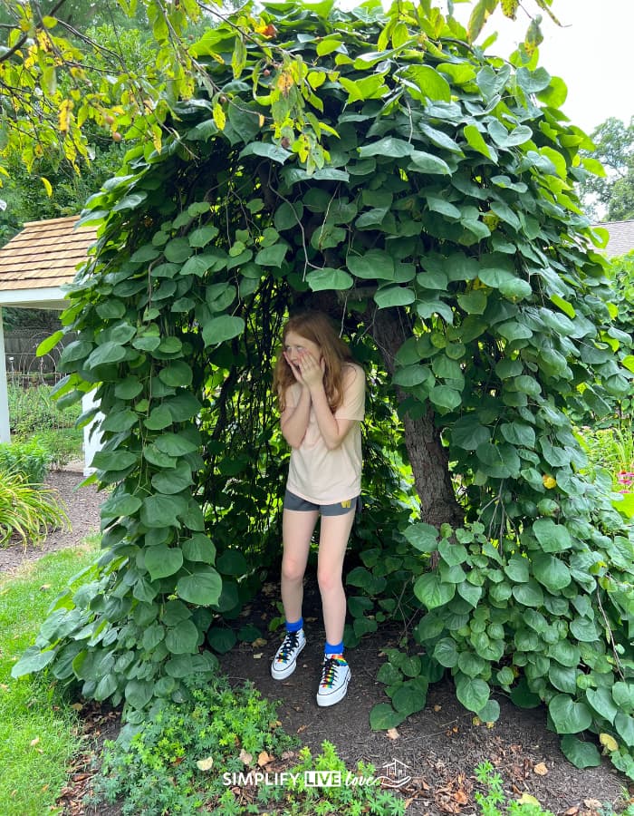 being silly at Avon Gardens