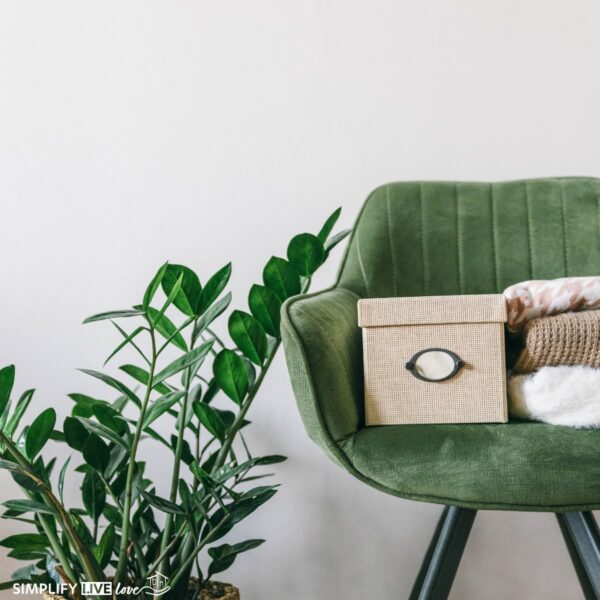 green plant next to a green chair that is being used to stage eco-friendly decluttering