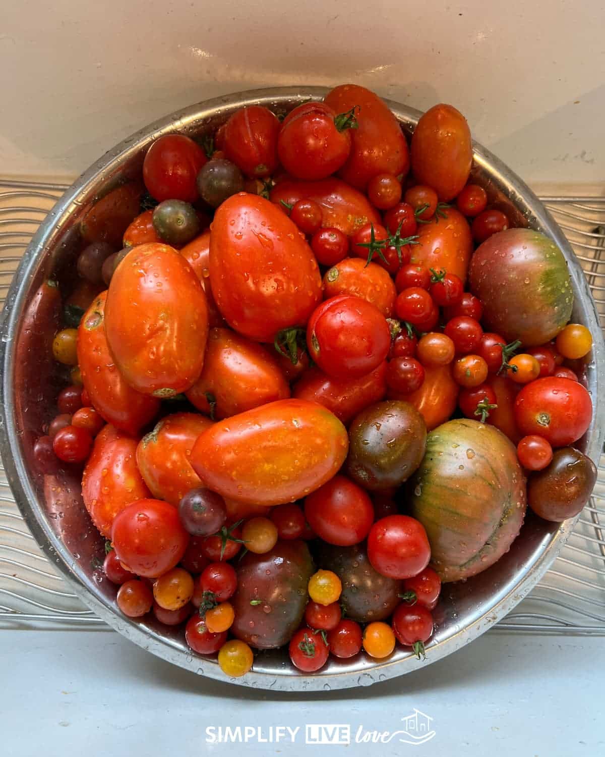 various tomatoes for the best roasted tomato sauce