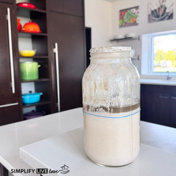 Hungry sourdough starter in a glass jar with a layer of hooch on top and a blue rubber band marking the level, on a white kitchen island with colorful cookware in the background.