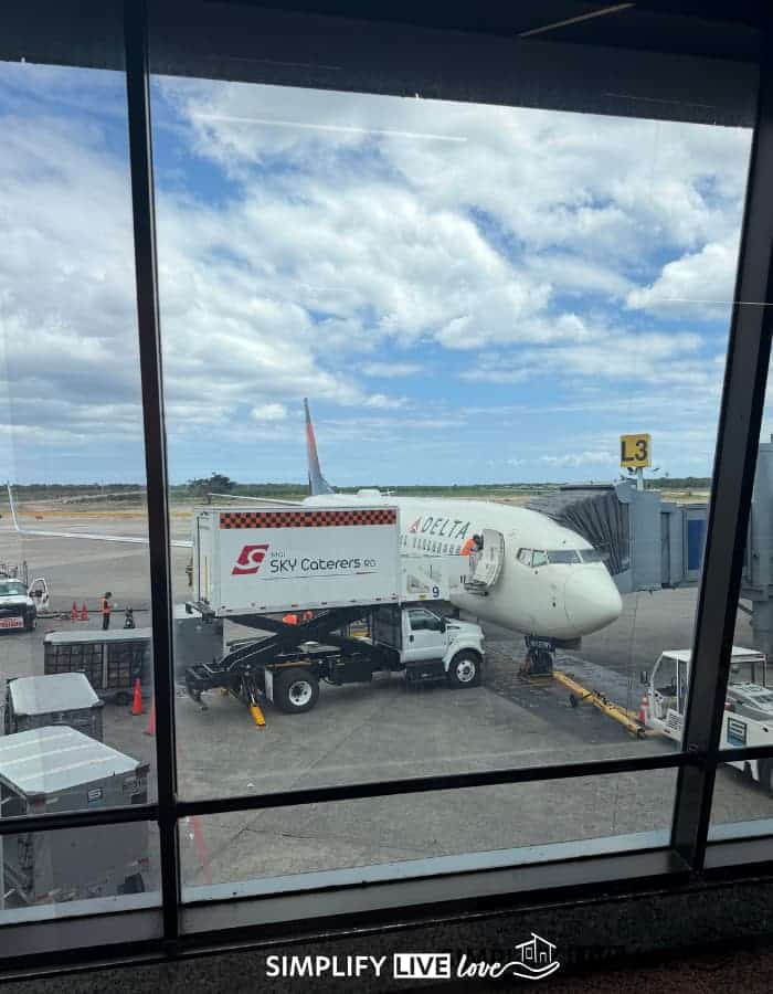 what to do when your flight is cancelled