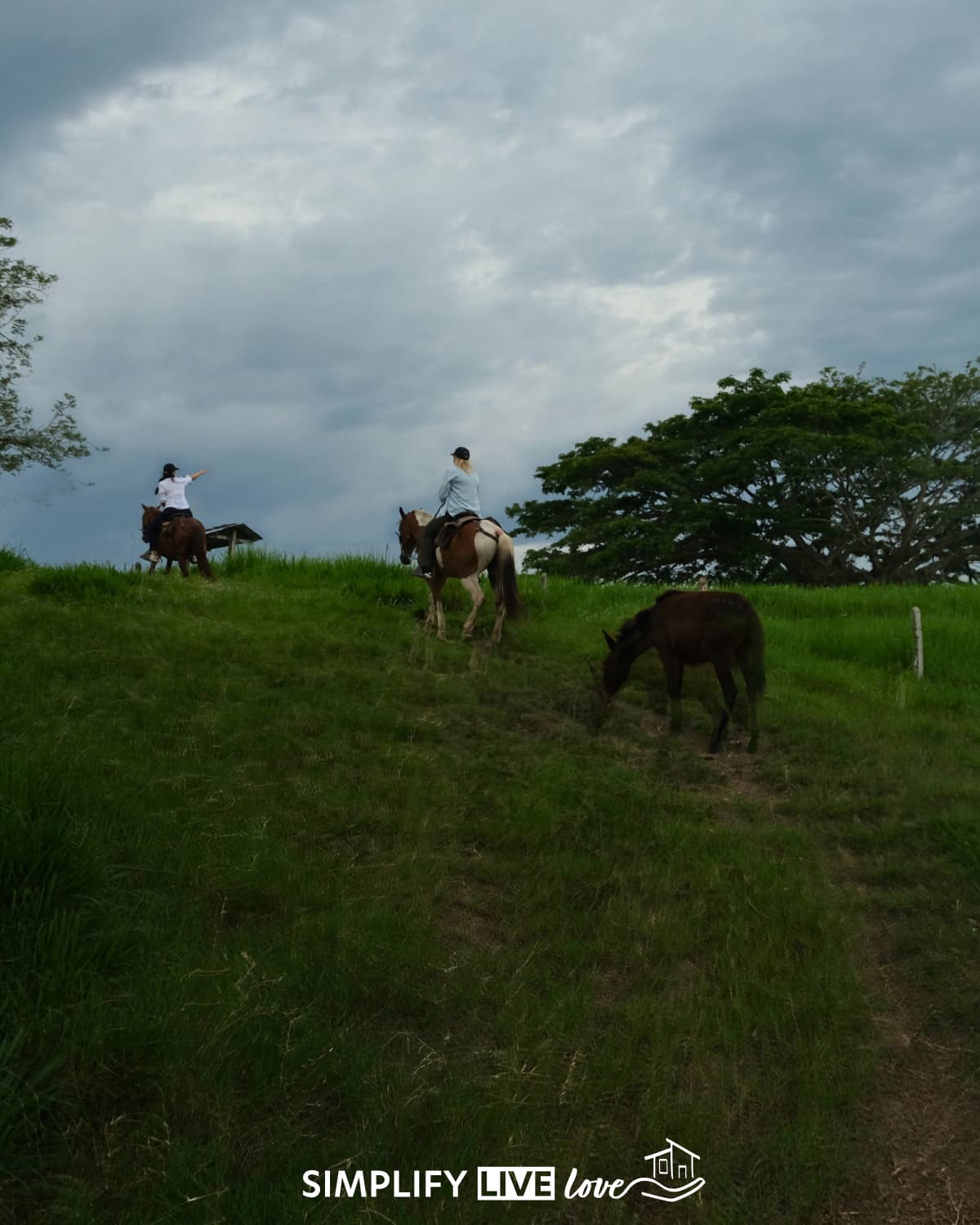 Ride Through Colombia's UNESCO Coffee Cultural Landscape on Horseback