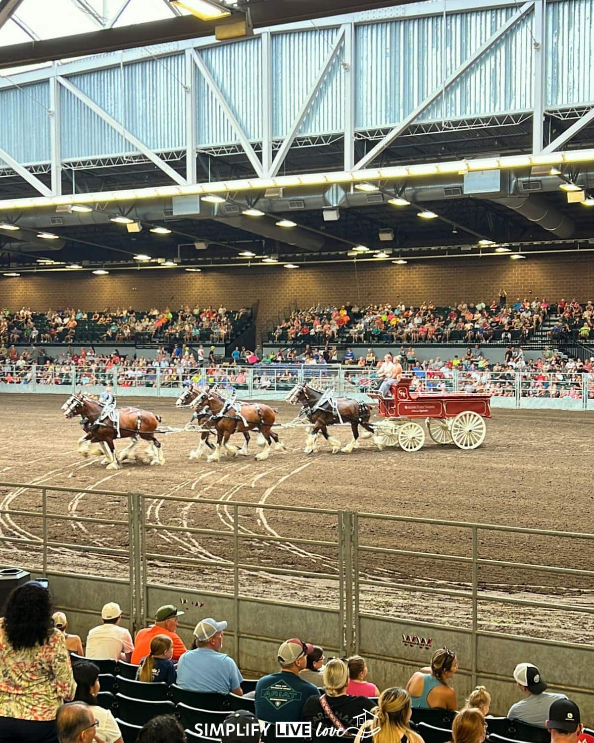 watch the draft horses in the air conditioning at the iowa state fair