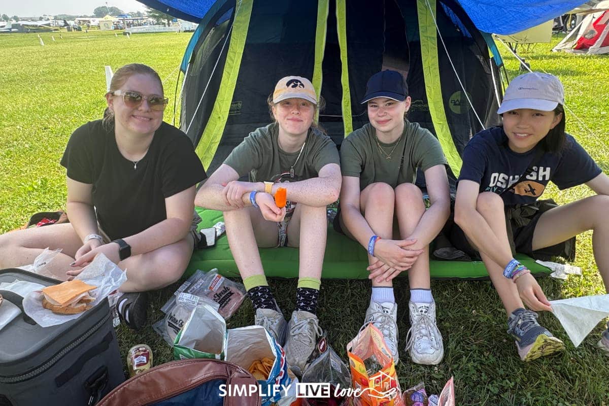 enjoying a picnic outside a tent under the airplane wing