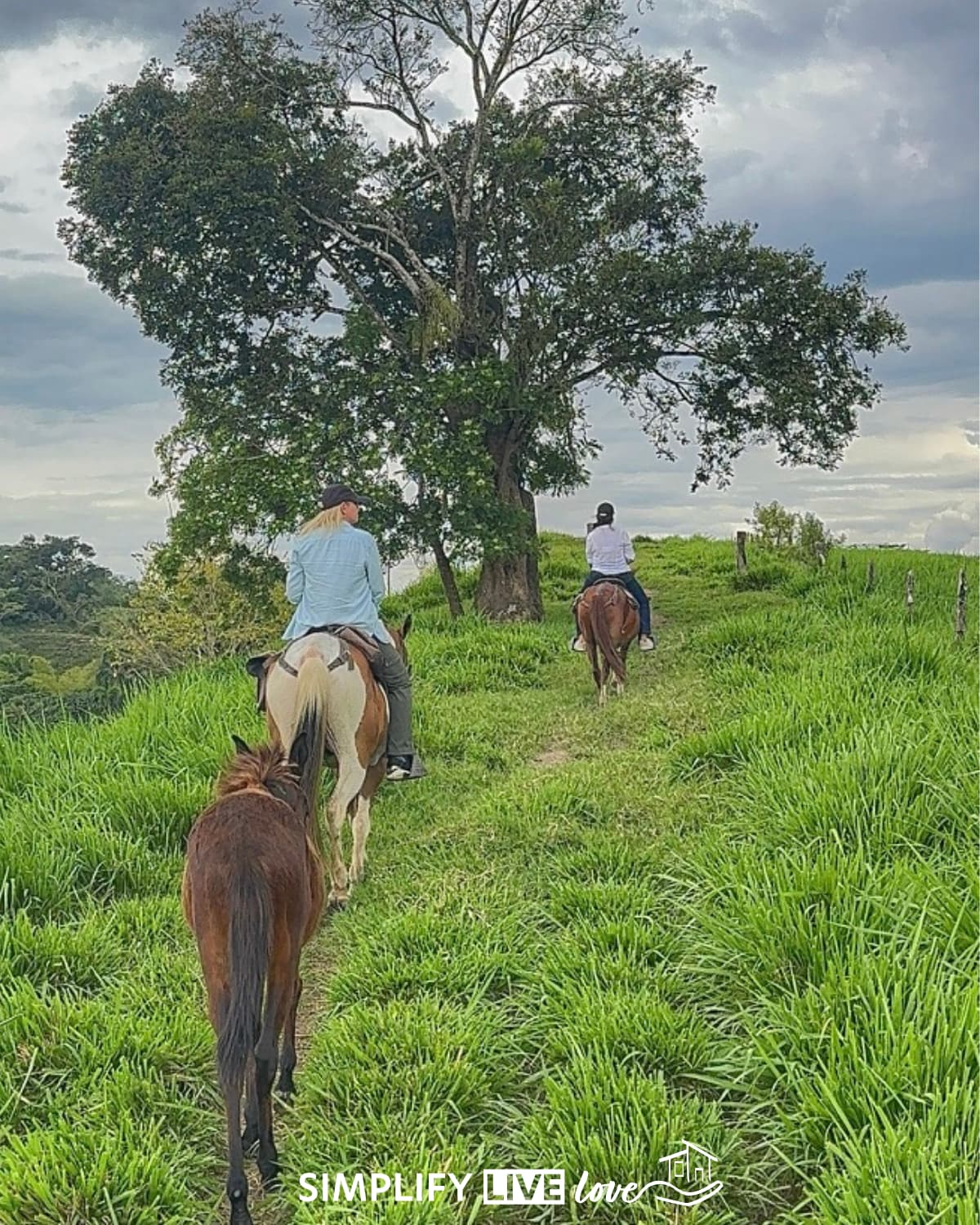 the back of two women on horseback riding up a lush green hill with a blue cloudy sky and a foal in the foreground.