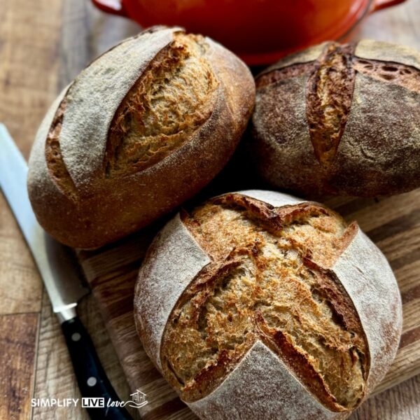Sourdough Mischbrot Freshly Milled Rye Bread Inspired by German Bakeries
