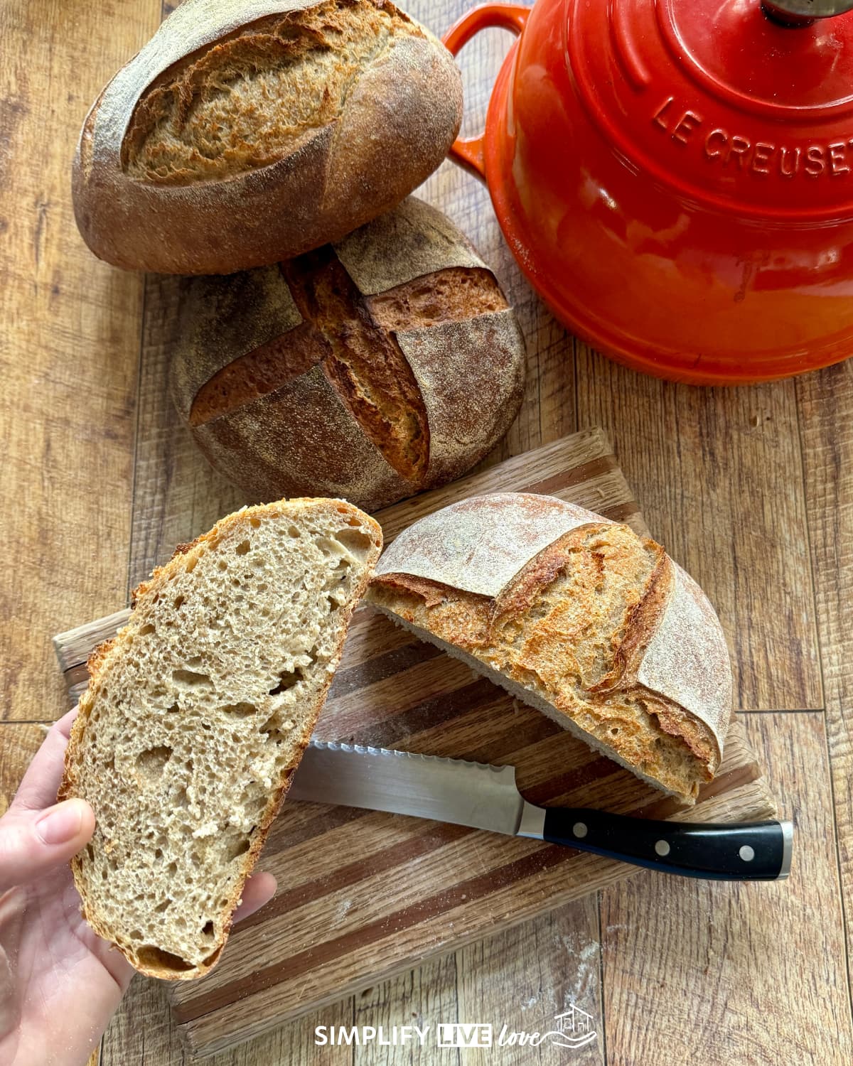 sourdough bread crumb