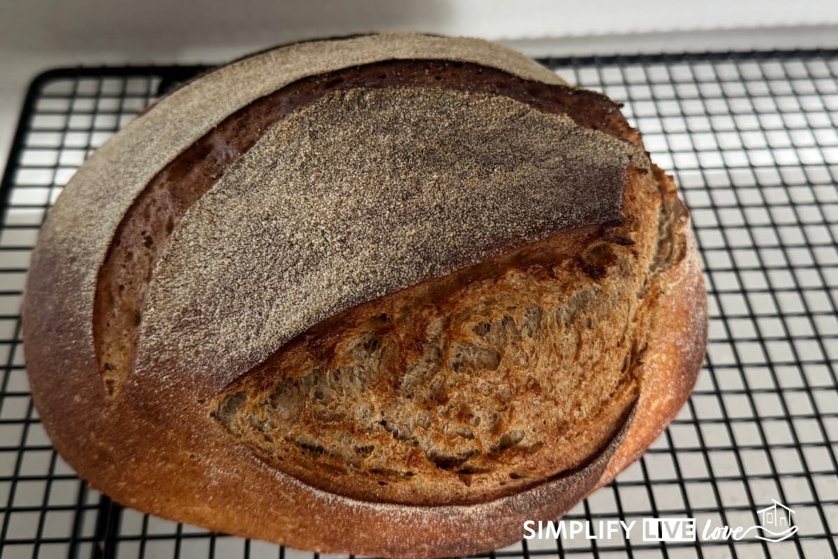 sourdough mischbrot baked in a steam oven