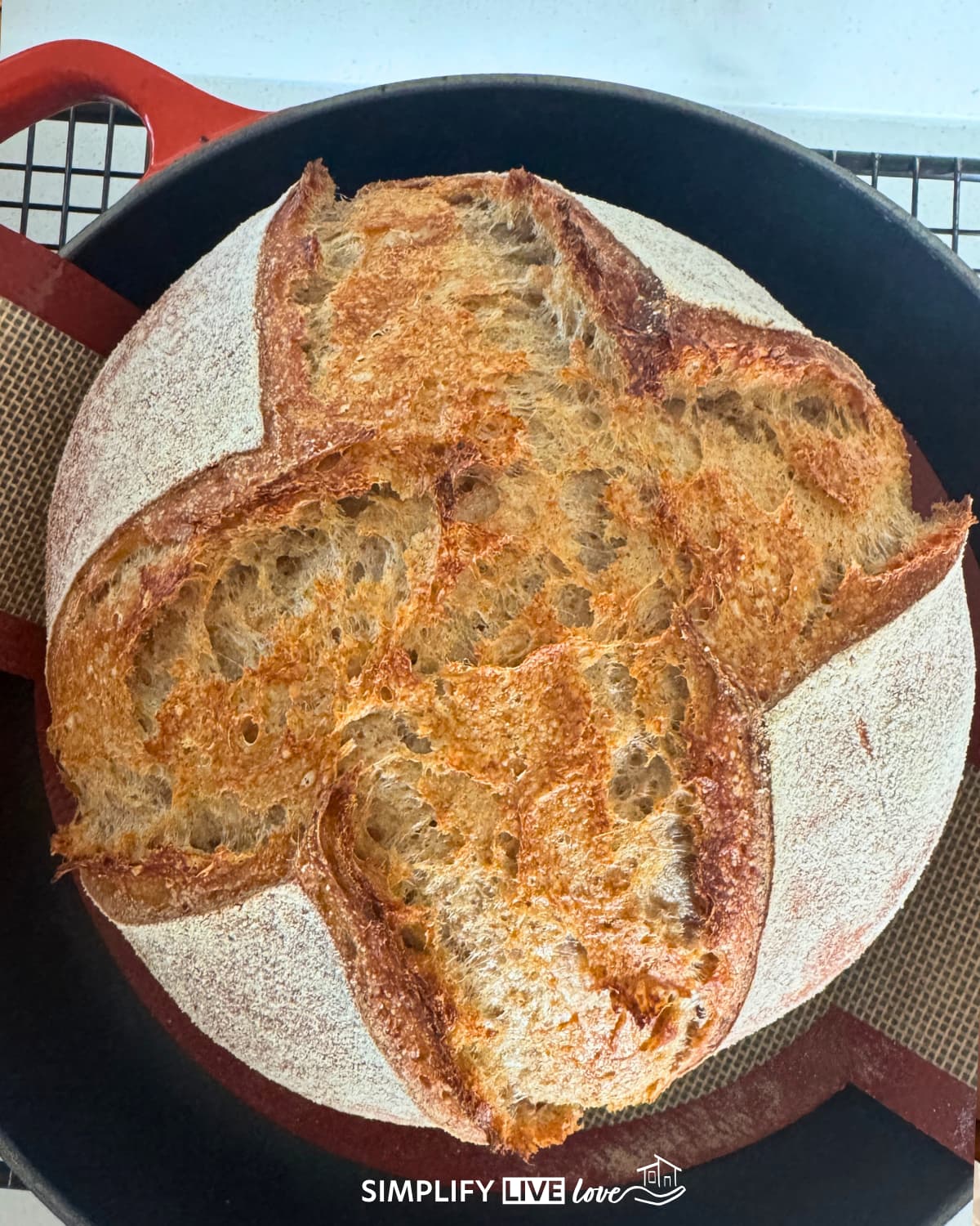 sourdough mischbrot just out of the oven