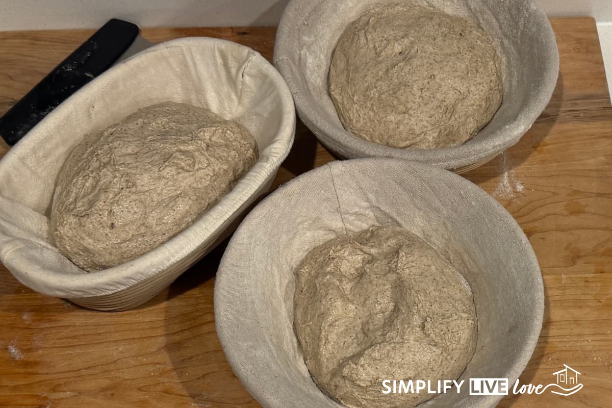 sourdough shaped and put in bannetons for overnight cold proofing