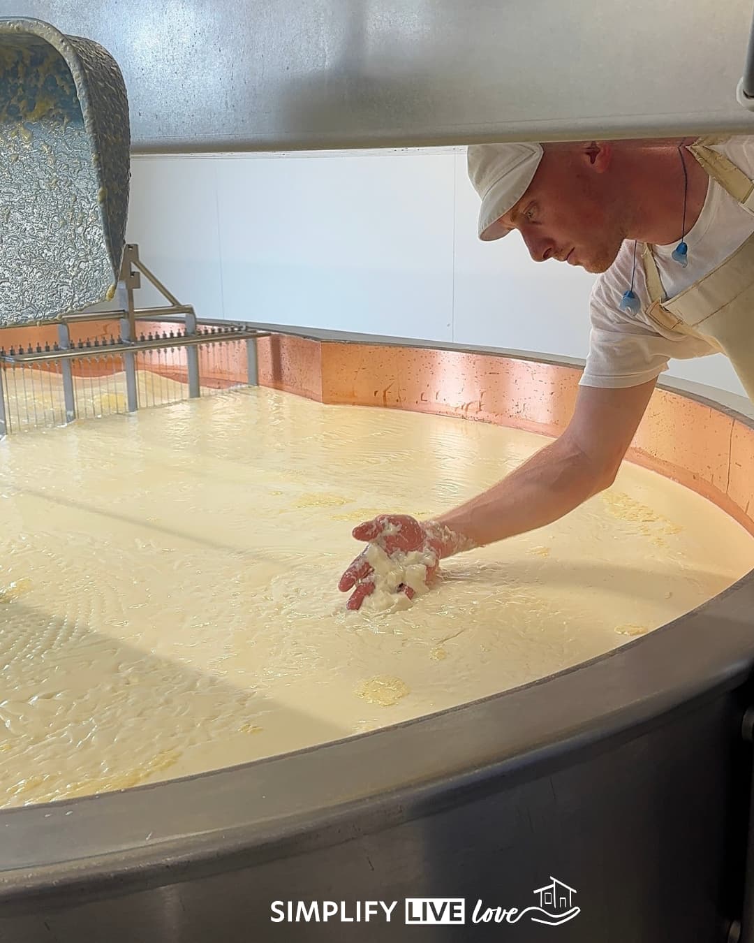 Cheesemaker reaching into a copper-lined vat of curds and whey at a village dairy.