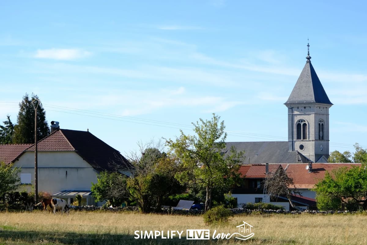 Village church steeple and houses behind a pasture of dry, golden grass in the French Jura, with a cow grazing at the left.