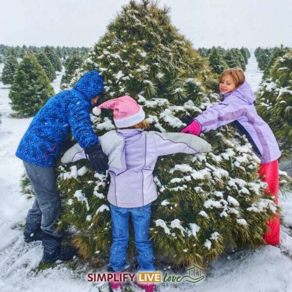 Kids hugging a snowy Christmas tree at Up North Pines, a cut-your-own tree farm in Davenport, Iowa
